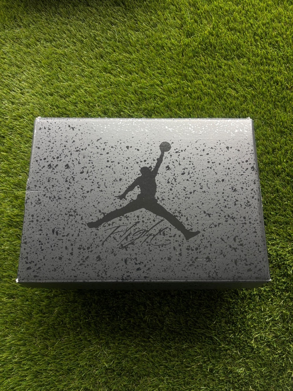 Jordan 4 Black Cats